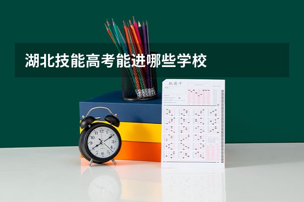 湖北技能高考能进哪些学校