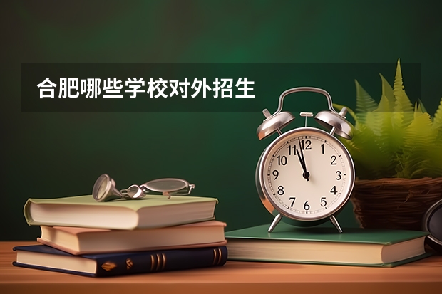 合肥哪些学校对外招生