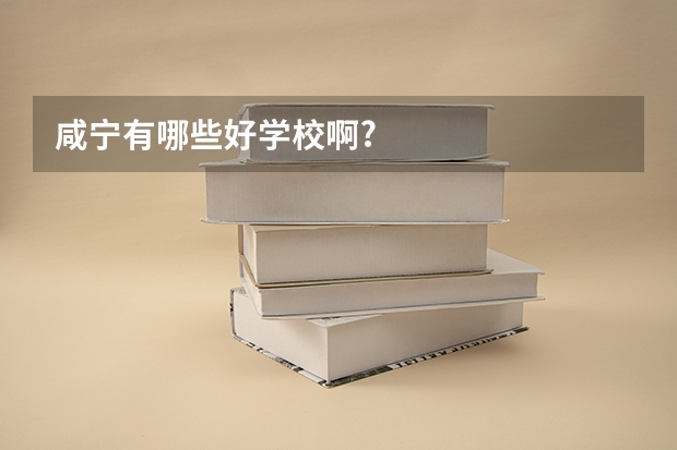 咸宁有哪些好学校啊?