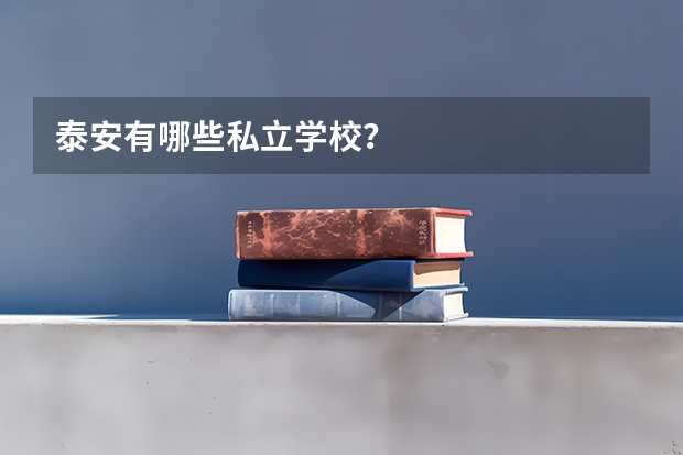 泰安有哪些私立学校？
