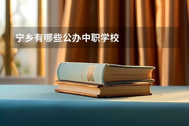 宁乡有哪些公办中职学校