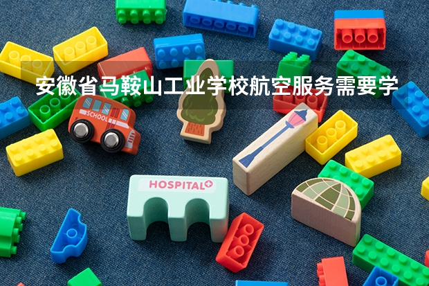 安徽省马鞍山工业学校航空服务需要学哪些课程